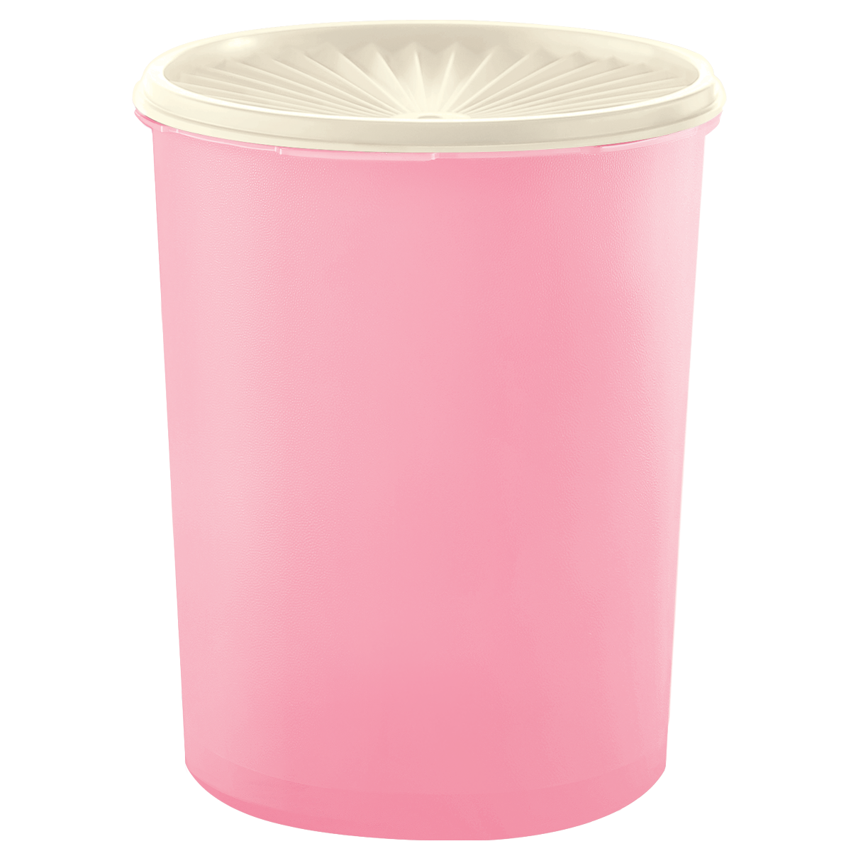 Bote Hermetico Tupperware para Despensa