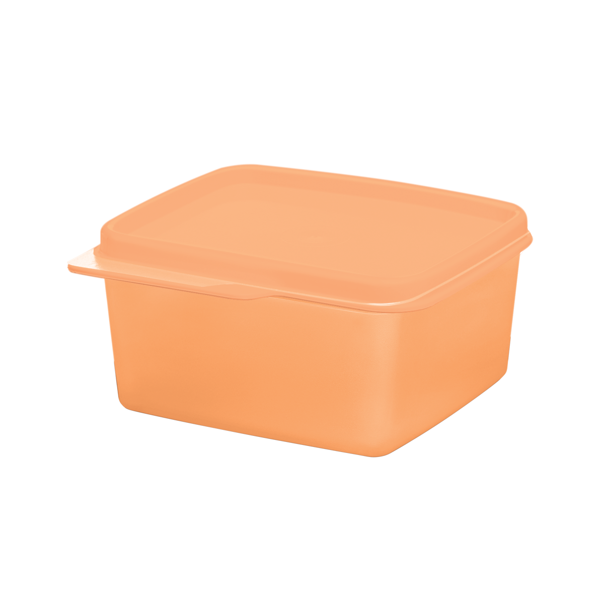 Recipiente Hérmetico para refrigerar Mediano Tupperware 1.2L
