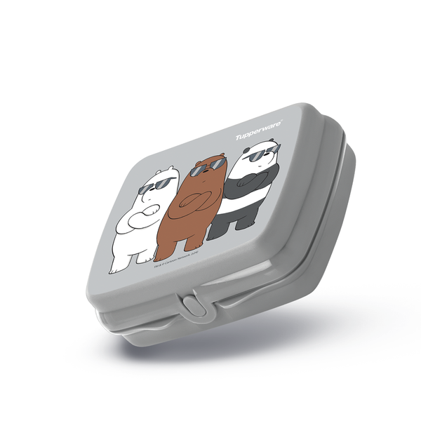 Porta Sandwich Tupperware Quadrilunch Decorado