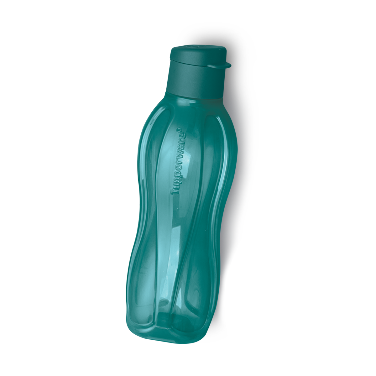 Tupperware MX