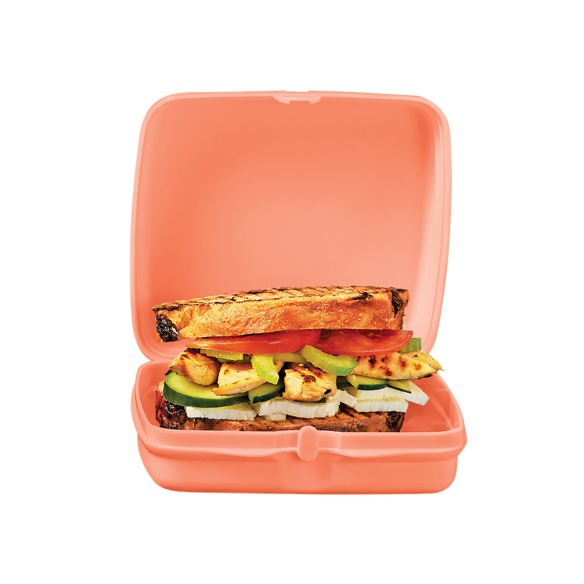 Tupperware MX