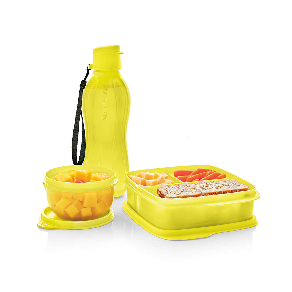 Productos perfectos para recalentar tus alimentos, llevar un snack y tu bebida