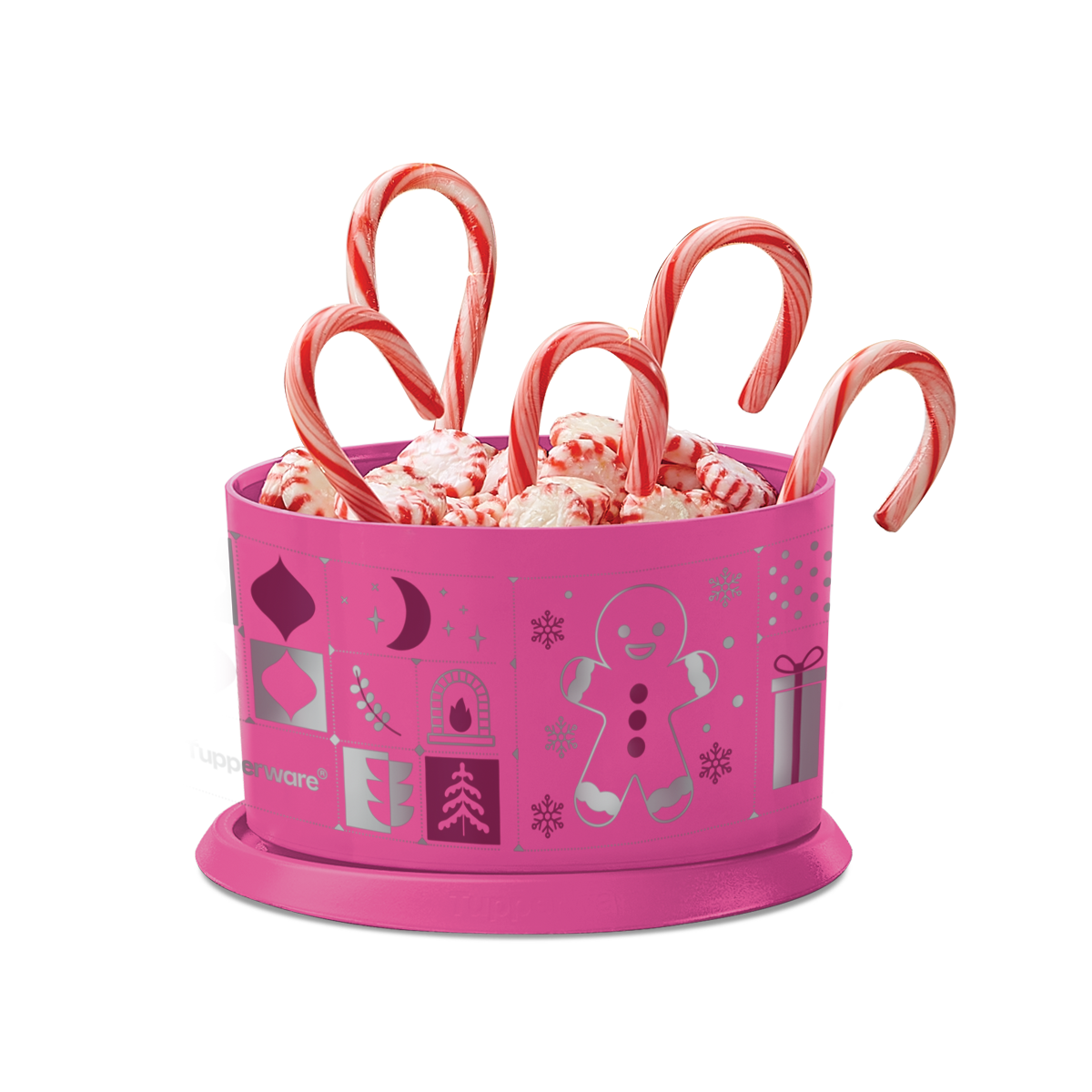 En alacena conservando ingredientes o incluso organizando objetos en otras áreas del hogar