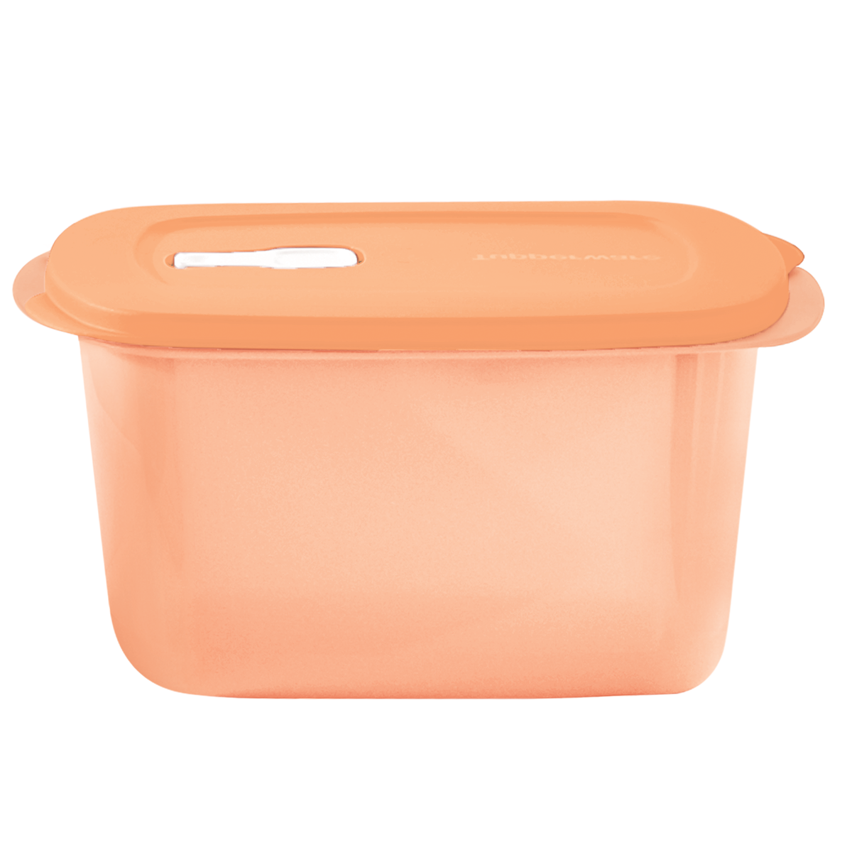 Recipiente para recalentar alimentos en el microondas.