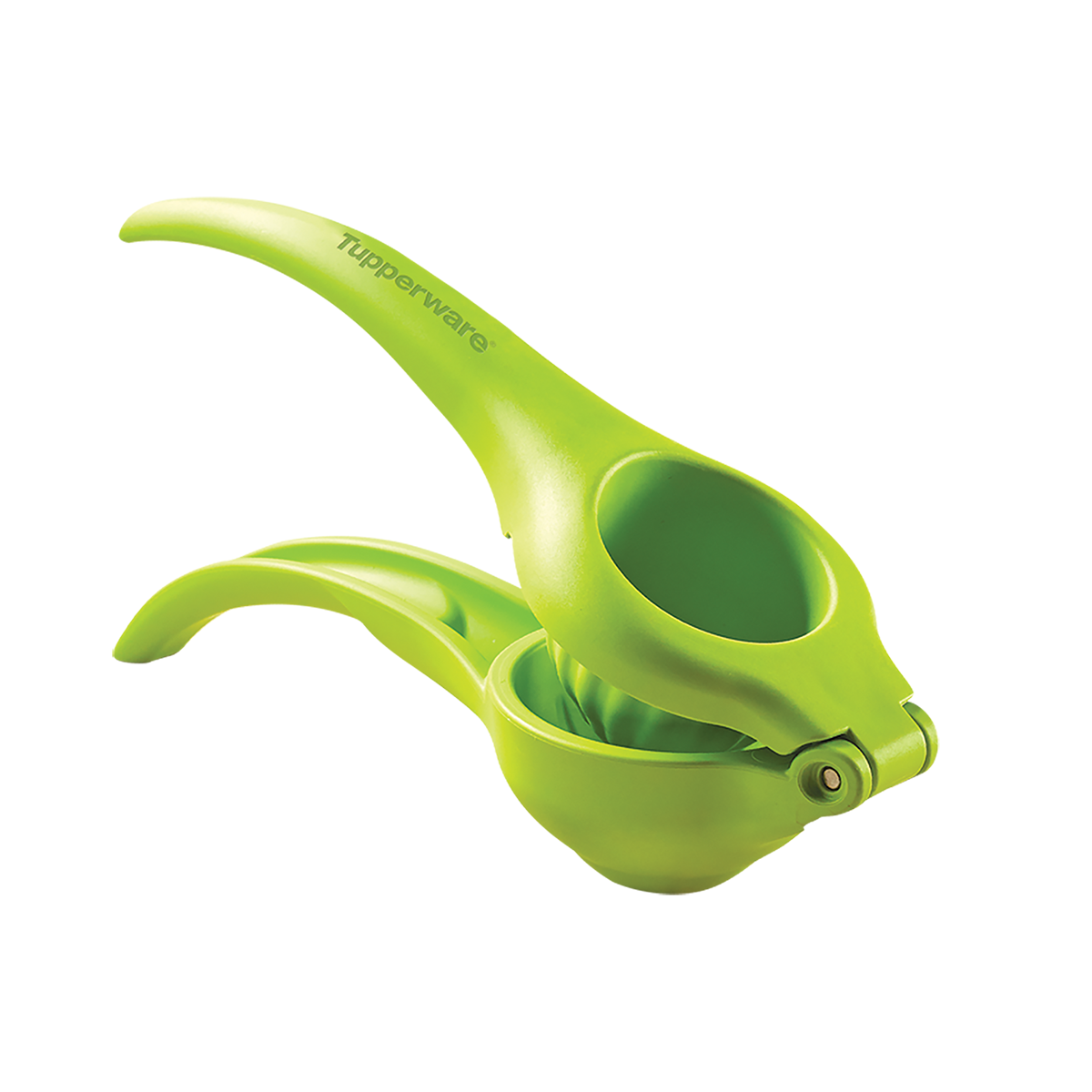Tupperware MX