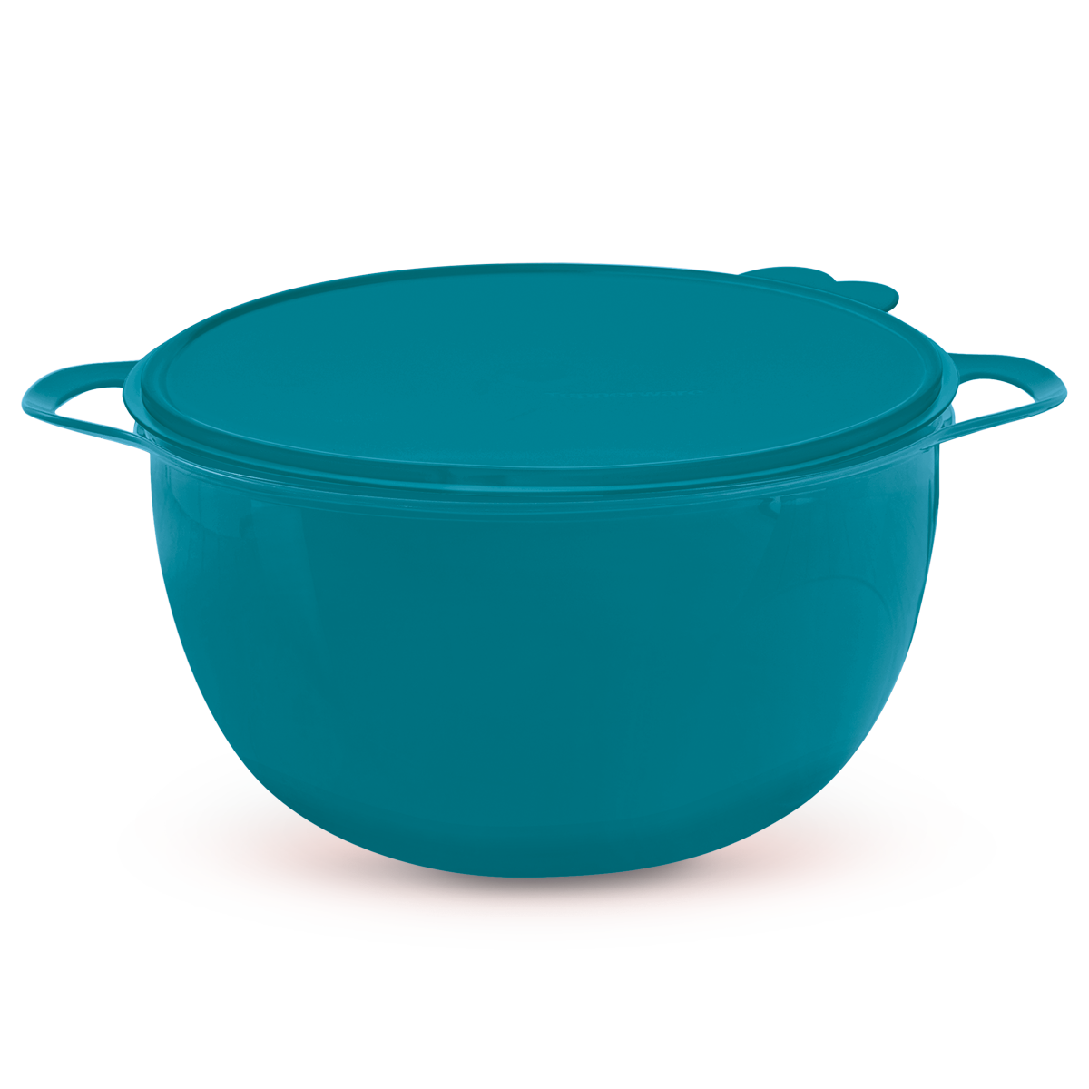 Bate, mezcla, refrigera . Tazón con asa especial para sostener con una mano y con la otra puedas batir o mezclar.. Cuenta con sello para refrigerar o dejar reposar tus mezclas tapadas.. Cuenta con sello para refrigerar o dejar reposar tus mezclas tapadas.. Lavar con esponja suave . Puedes batir con batidora eléctrica sin riesgo a que se raye. Capacidad: 10 L