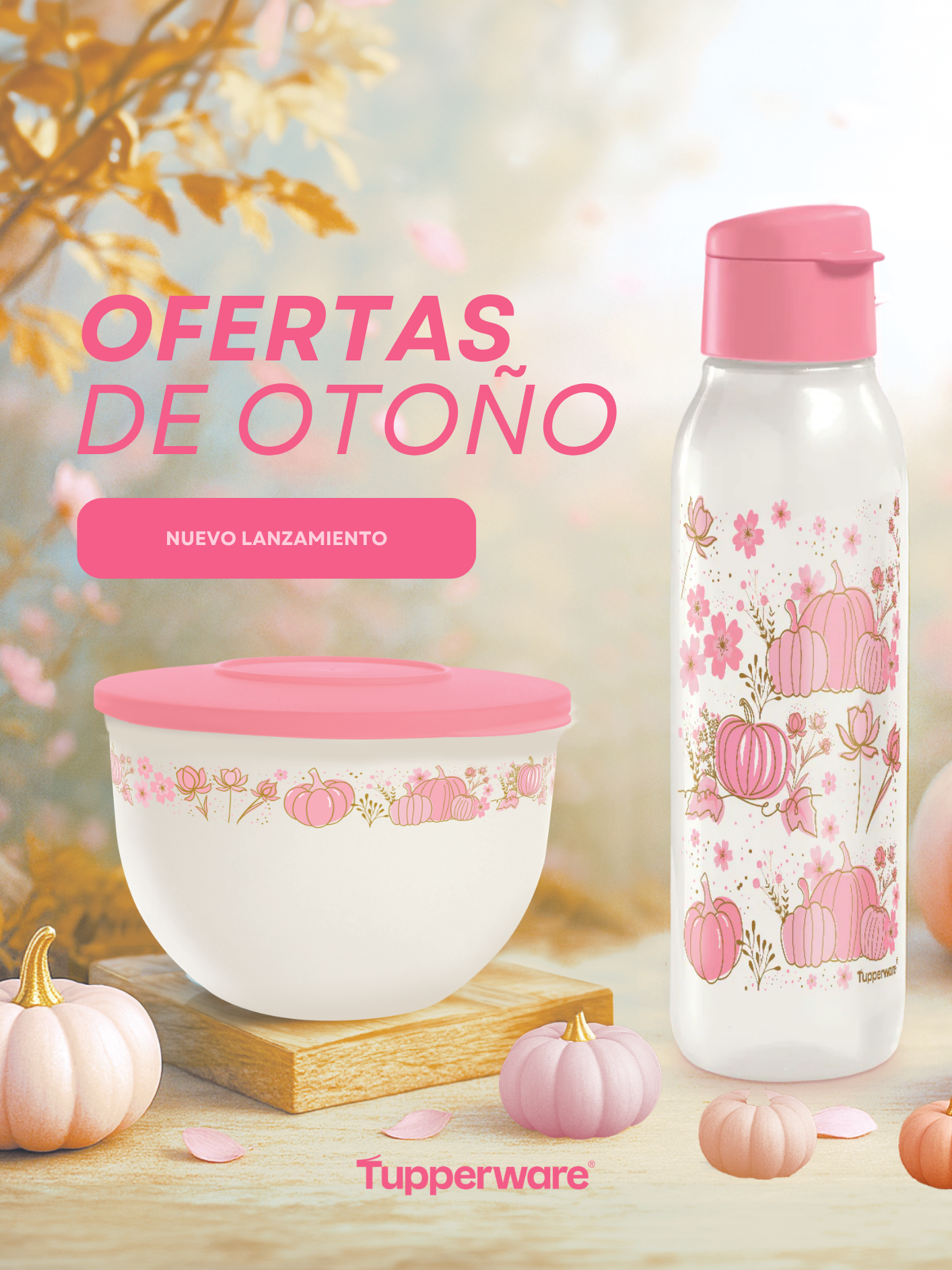 Tupperware México | Tienda Oficial