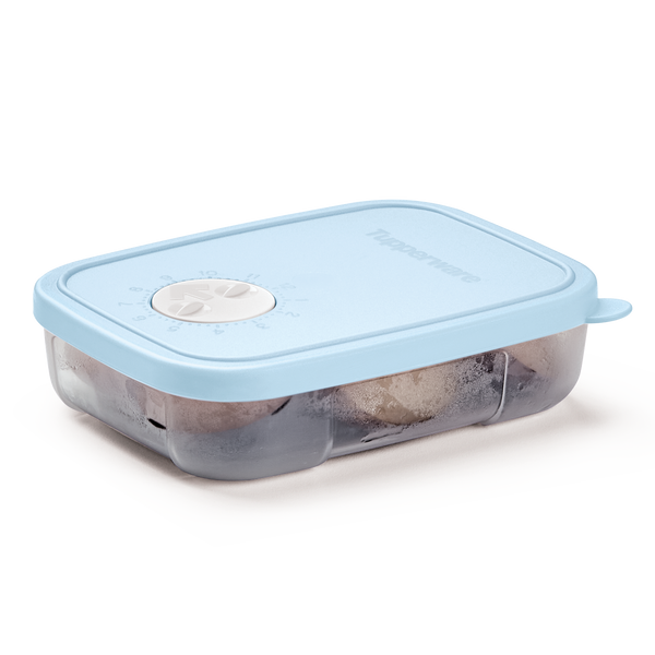 Recipiente para congelar alimentos Tupperware 250ml  con fechador.