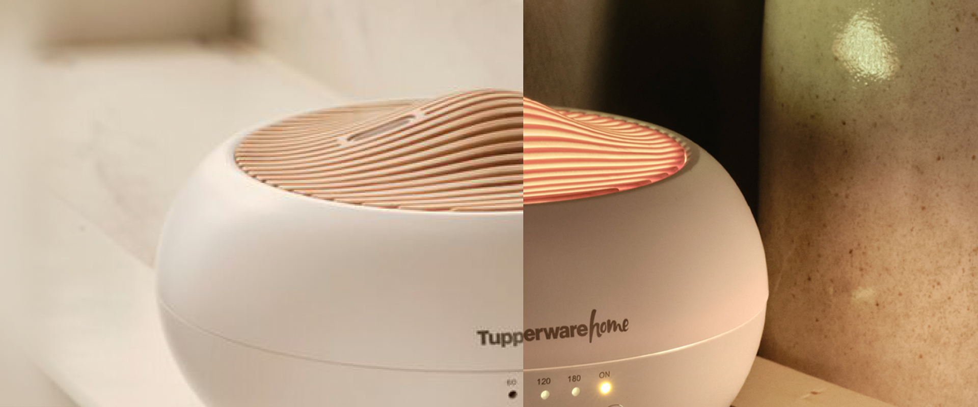Tupperware MX