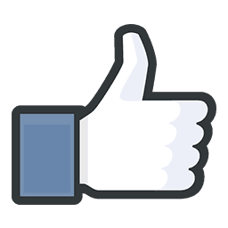 Icon image