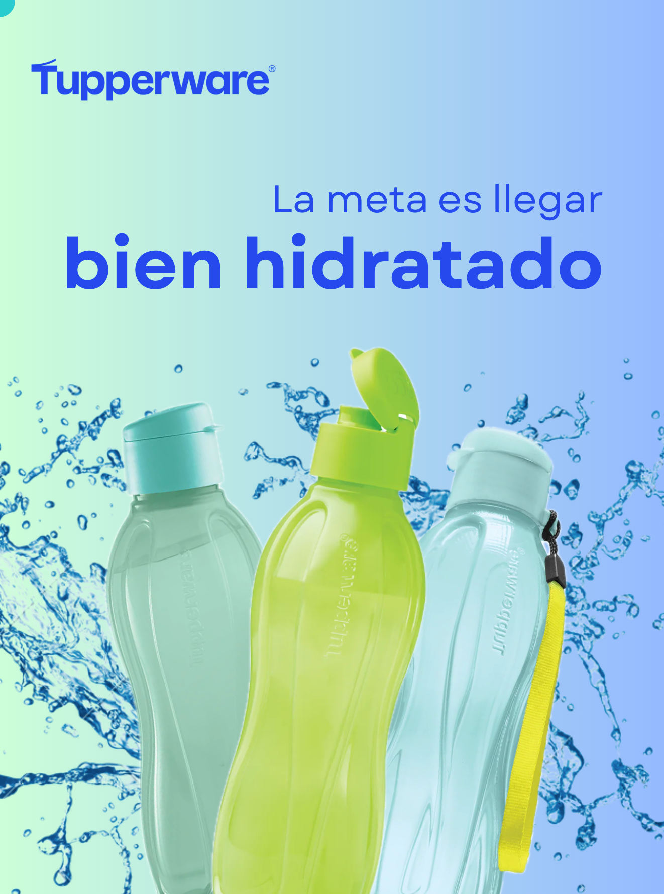 Tupperware MX