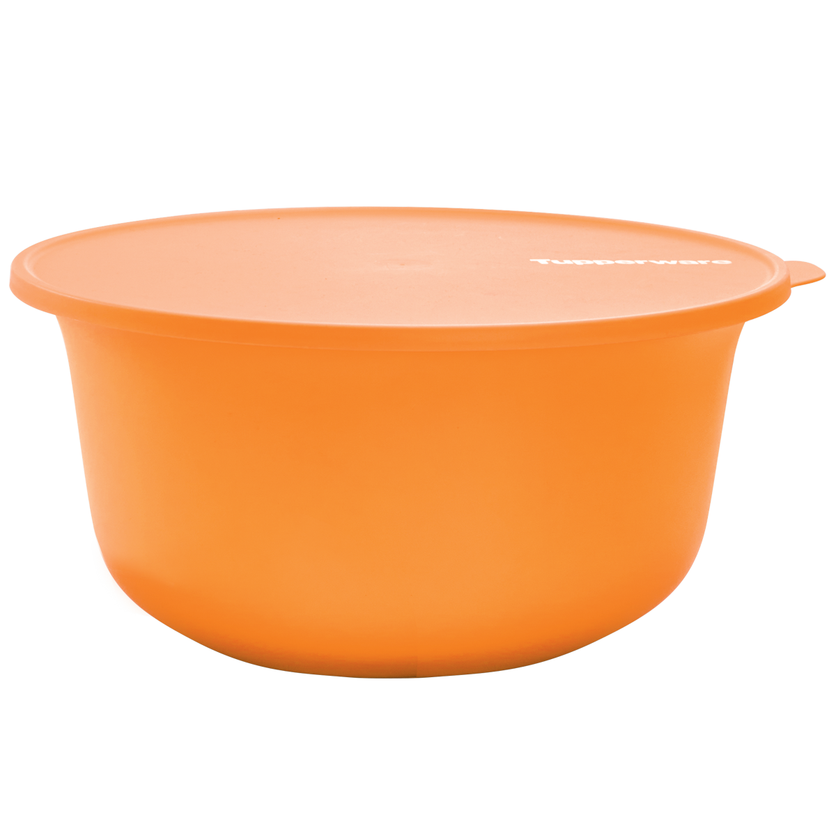 Tazón de la práctica colección de mesa Aloha que te permite almacenar, transportar y servir tus platos favoritos con estilo